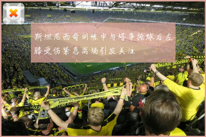 斯坦尼西奇训练中与塔争抢球后左膝受伤紧急离场引发关注