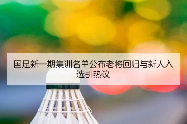 国足新一期集训名单公布老将回归与新人入选引热议 | bwinsports